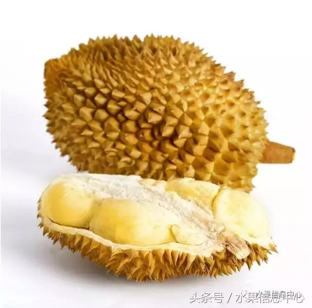榴莲的种类，怎样选榴莲才能选到好榴莲（史上最全榴莲品种产地分类大全）