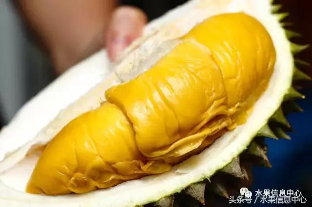 榴莲的种类，怎样选榴莲才能选到好榴莲（史上最全榴莲品种产地分类大全）