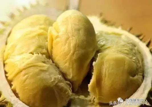 榴莲的种类，怎样选榴莲才能选到好榴莲（史上最全榴莲品种产地分类大全）
