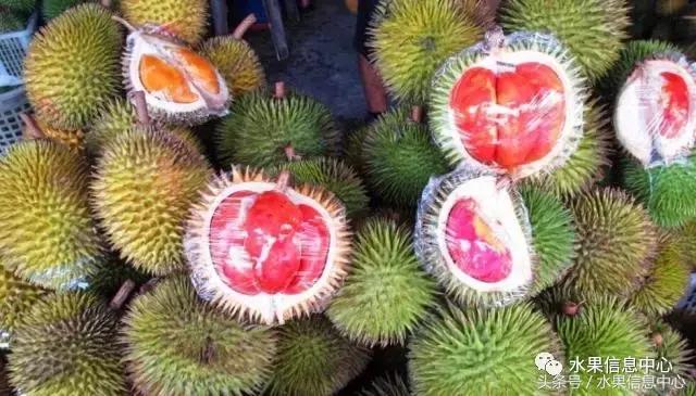 榴莲的种类，怎样选榴莲才能选到好榴莲（史上最全榴莲品种产地分类大全）