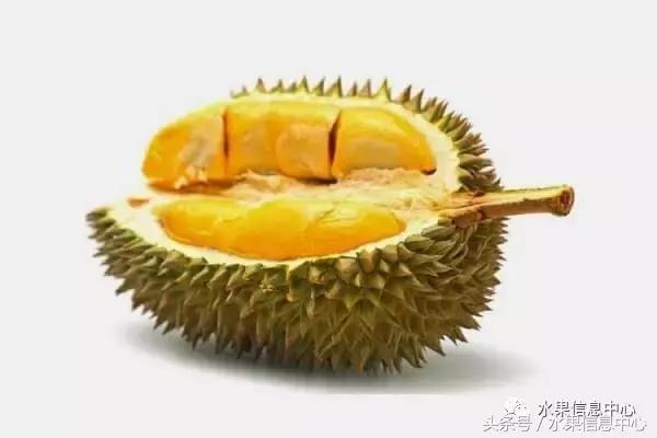 榴莲的种类，怎样选榴莲才能选到好榴莲（史上最全榴莲品种产地分类大全）