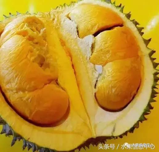 榴莲的种类，怎样选榴莲才能选到好榴莲（史上最全榴莲品种产地分类大全）