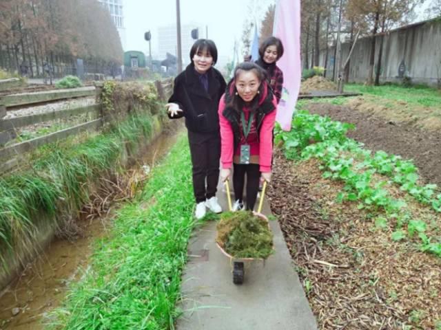 狗屎能做肥料吗，狗屎可以养花当肥料吗（厨余垃圾、药渣、咖啡渣堆起来的肥料）