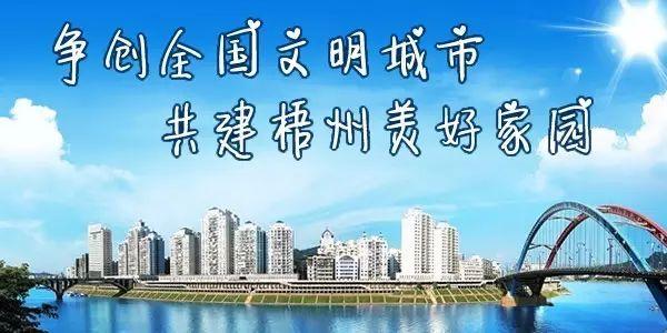 广西苍梧县沙头地震，我市立项开展地震危险性评估