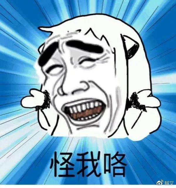 毛睿是什么意思，traveler是什么意思（周末消遣聊数学）