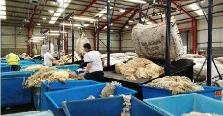 白皮书 蓝皮书 红皮书 区别，白皮书发行时间（英国羊毛质量管理和检验技术考察报告）