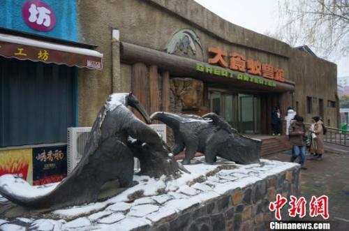 世界上最大的食蚁兽是什么，世界上有食蚁兽吗（四只南美洲大食蚁兽落户郑州）