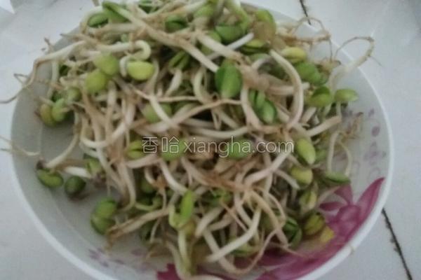 如何做豆芽炒肉好吃，小豆芽炒肉怎么做好吃（黄豆芽炒肉片）