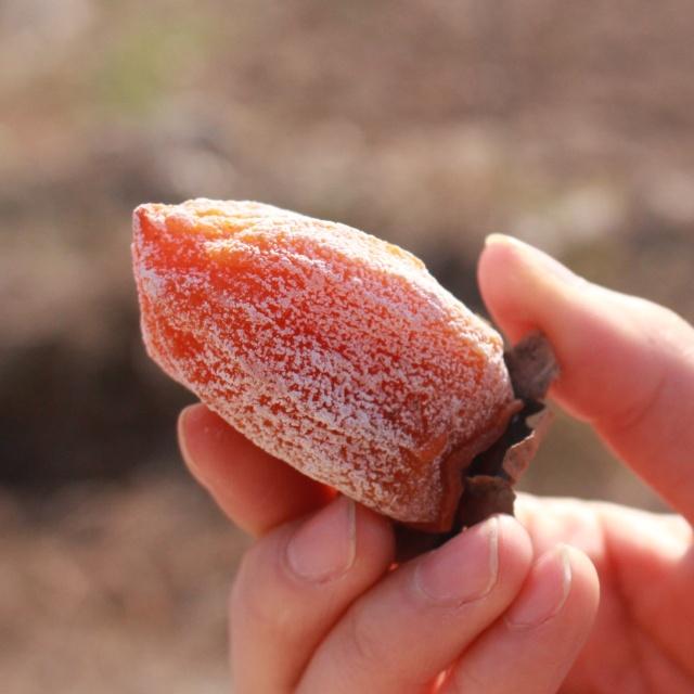 吊柿饼的功效与作用禁忌，里面是蜜一般的晶莹果肉