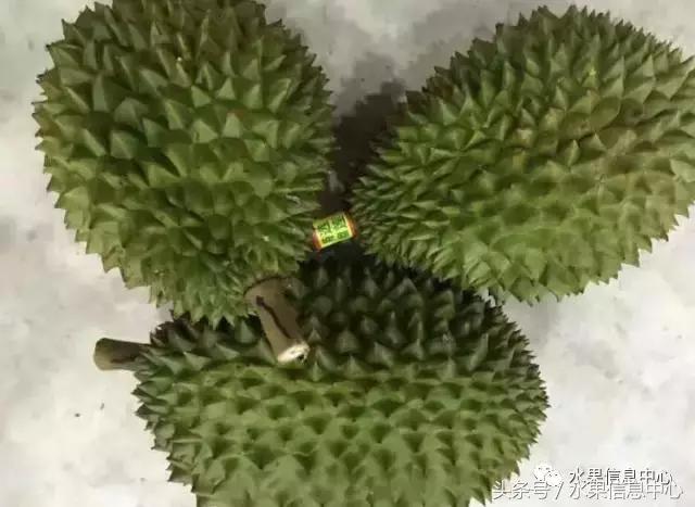榴莲的种类，怎样选榴莲才能选到好榴莲（史上最全榴莲品种产地分类大全）