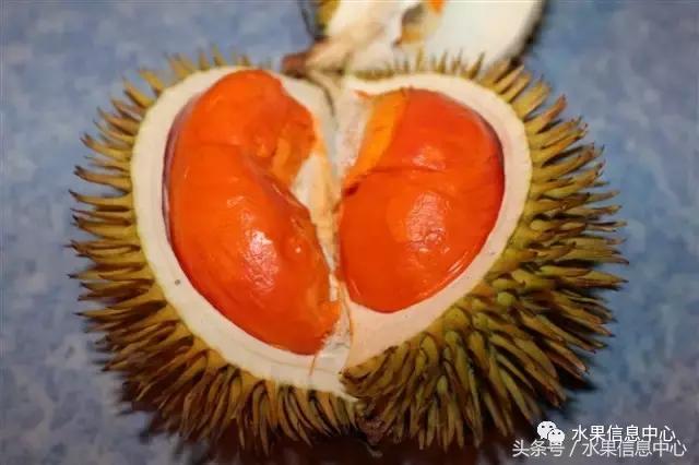 榴莲的种类，怎样选榴莲才能选到好榴莲（史上最全榴莲品种产地分类大全）
