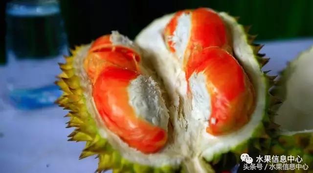 榴莲的种类，怎样选榴莲才能选到好榴莲（史上最全榴莲品种产地分类大全）
