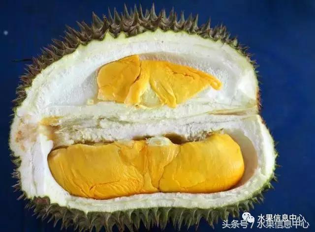 榴莲的种类，怎样选榴莲才能选到好榴莲（史上最全榴莲品种产地分类大全）