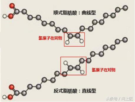 饱和脂肪酸和反式脂肪酸的区别，饱和脂肪酸和反式脂肪酸