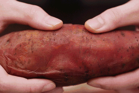 微波炉可以烤红薯，用微波炉如何能烤出美味的红薯（热乎乎的烤地瓜）