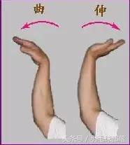 羽毛球发力技巧，羽毛球怎么发力技巧（羽毛球的发力小技巧）