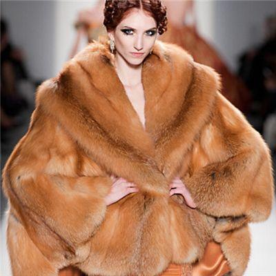 裘皮是什么皮，裘皮是啥动物的皮呀（科普帖：毛皮、裘皮和皮草）