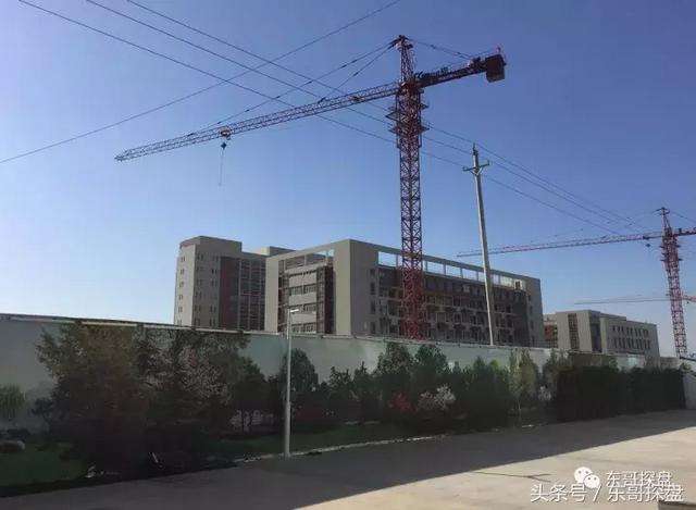 北美枫情地板价格，北美枫情地板怎么样（这个楼盘太低调）