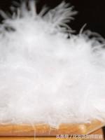 什么是羽绒棉是什么材质，羽绒棉是什么料子（冬天最美羽绒和她的基本常识）