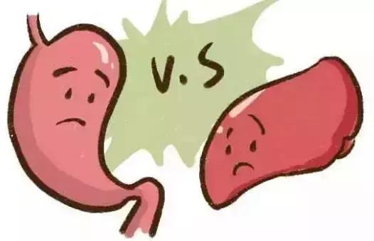 当归党参黄芪功效禁忌，党参,麦冬,黄芪的功效（当归黄芪党参汤）