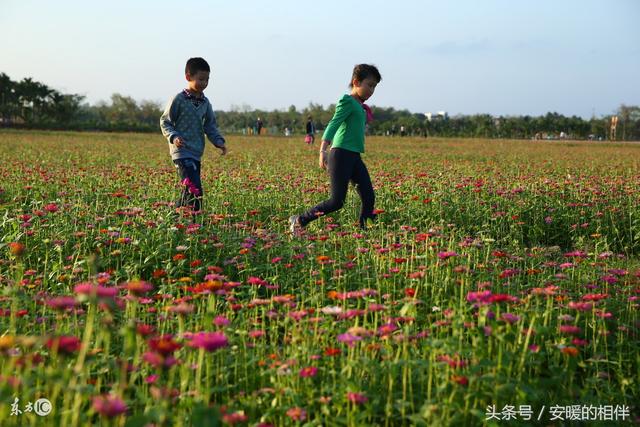 硒怎么读，富硒是什么意思（总有那么几种菜的名字引起争议）