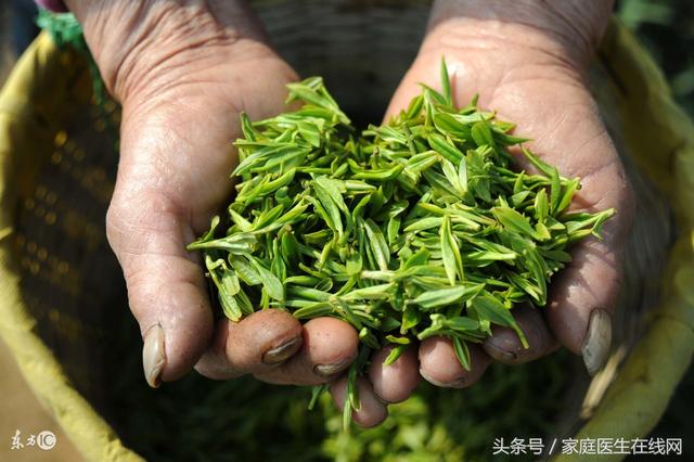 闻女士运动鞋里脚臭味，家里脚臭味太重怎么去除（新买的鞋子散发的味道对人体有危害吗）