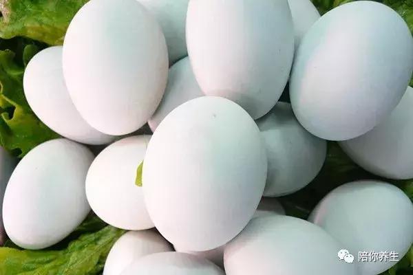 鹅蛋的功效与作用，鹅蛋的功效与作用孕妇（鸡蛋、鸭蛋、鹅蛋区别是什么）