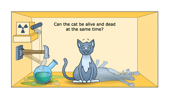 薛定谔的猫是什么意思，薛定谔的猫 巴甫洛夫的狗（薛定谔的猫是什么）