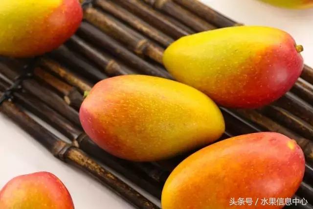 玉文芒果的特点，玉文芒果的特点是什么（最全芒果品种产地大全）