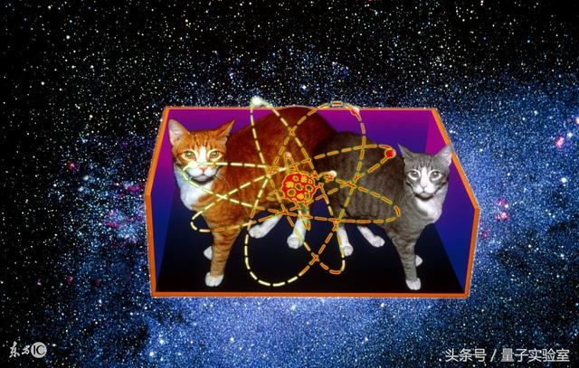 薛定谔的猫是什么意思，薛定谔的猫 巴甫洛夫的狗（薛定谔的猫是什么）