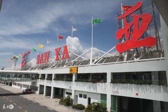 单丛茶作用与功效，单丛茶营养成分（什么是凤凰单丛茶）