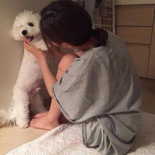 女生适合养的护卫犬，家庭护卫犬（这“7种狗狗”值得一养）