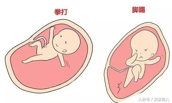 好奇宝宝动起来，怎么能让宝宝动起来（好奇，胎动时宝宝在干吗）