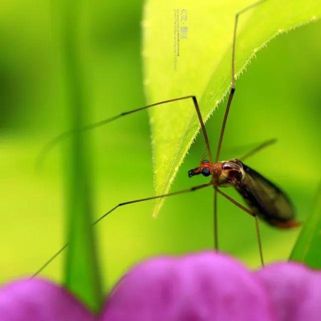 呵斥与喝斥哪个对，呵斥还是喝斥（这些字很多人都错了）