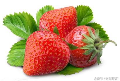 草莓的功效与作用禁忌，草莓的功效与作用禁忌和副作用（水果知识——草莓）