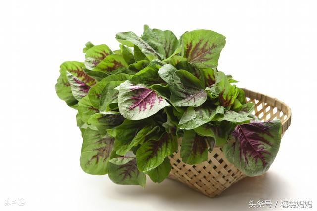 哺乳期可以吃苋菜吗，苋菜的功效是什么（6种蔬菜5种水果产后宝妈要多吃）