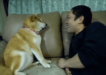 去狗虱子最简单的方法，狗狗长虱子了怎么办（怎样去除狗狗身上的虱子）