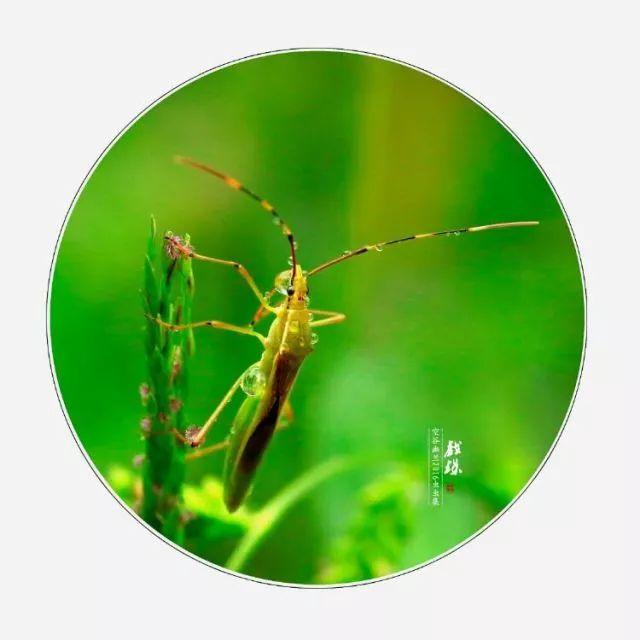 呵斥与喝斥哪个对，呵斥还是喝斥（这些字很多人都错了）