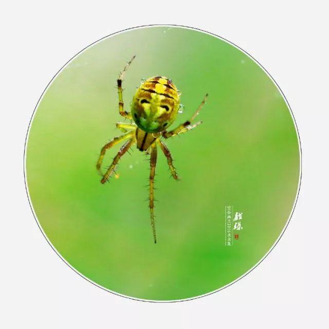 呵斥与喝斥哪个对，呵斥还是喝斥（这些字很多人都错了）