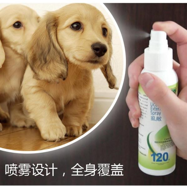 去狗虱子最简单的方法，狗狗长虱子了怎么办（怎样去除狗狗身上的虱子）