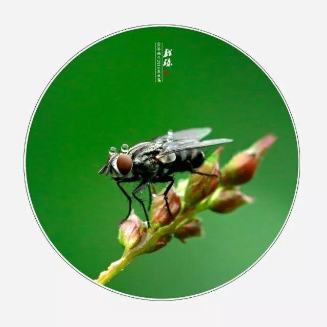 呵斥与喝斥哪个对，呵斥还是喝斥（这些字很多人都错了）