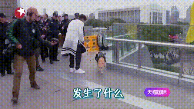 去狗虱子最简单的方法，狗狗长虱子了怎么办（怎样去除狗狗身上的虱子）