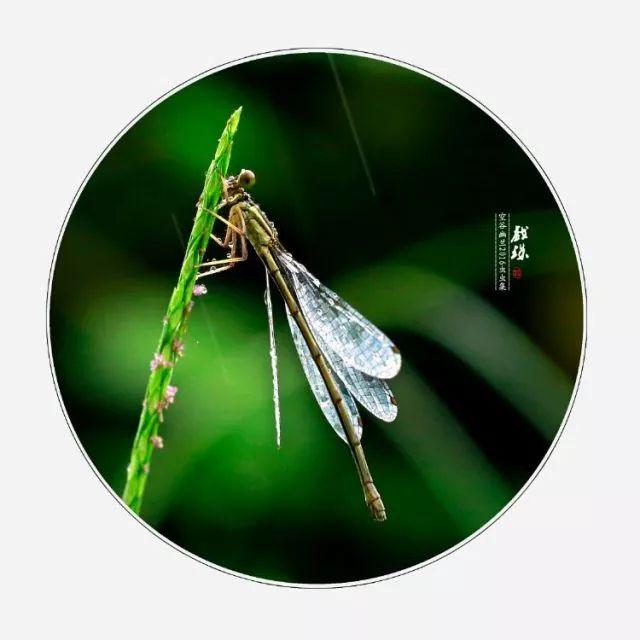 呵斥与喝斥哪个对，呵斥还是喝斥（这些字很多人都错了）