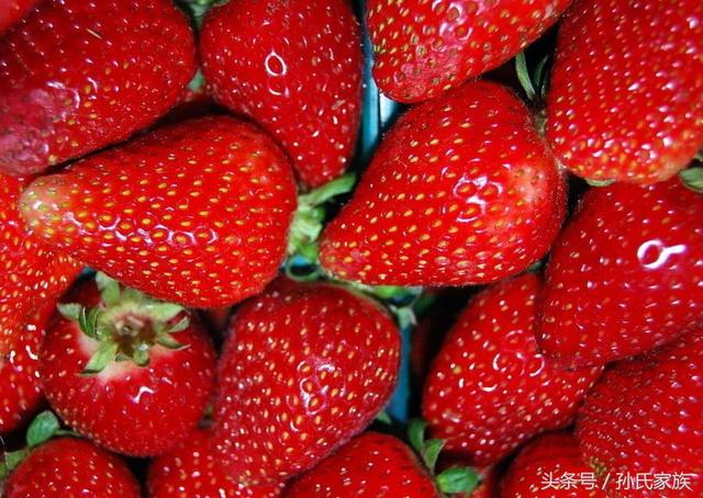 草莓的功效与作用禁忌，草莓的功效与作用禁忌和副作用（水果知识——草莓）