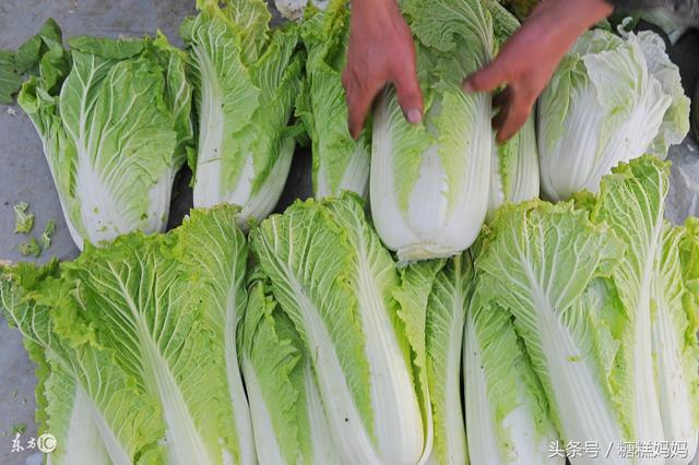 哺乳期可以吃苋菜吗，苋菜的功效是什么（6种蔬菜5种水果产后宝妈要多吃）