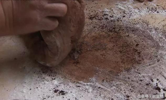 灵芝孢子粉的正确吃法，灵芝孢子粉的正确吃法是什么（孢子粉出了新吃法）