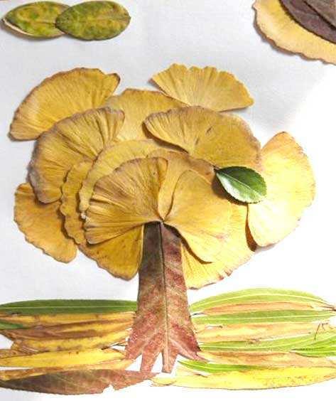树叶贴画简单又好看，简单好看树叶贴画方法（同样捡树叶帮孩子做作业）
