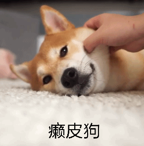 去狗虱子最简单的方法，狗狗长虱子了怎么办（怎样去除狗狗身上的虱子）