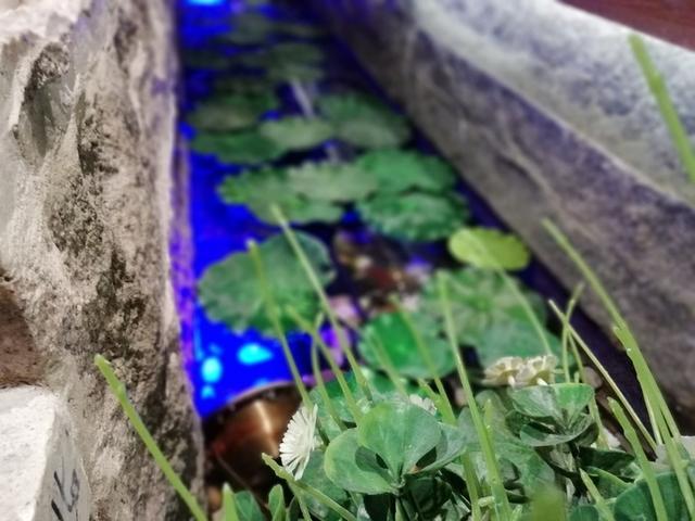 华为荣耀9青春版，华为荣耀9青春版手机怎么样（孙杨站台的国产精品机）