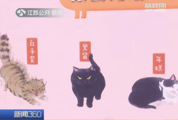 南京有没有宠物救助领养中心，南京有没有宠物救助领养中心的（南大流浪猫当上“代言人”）